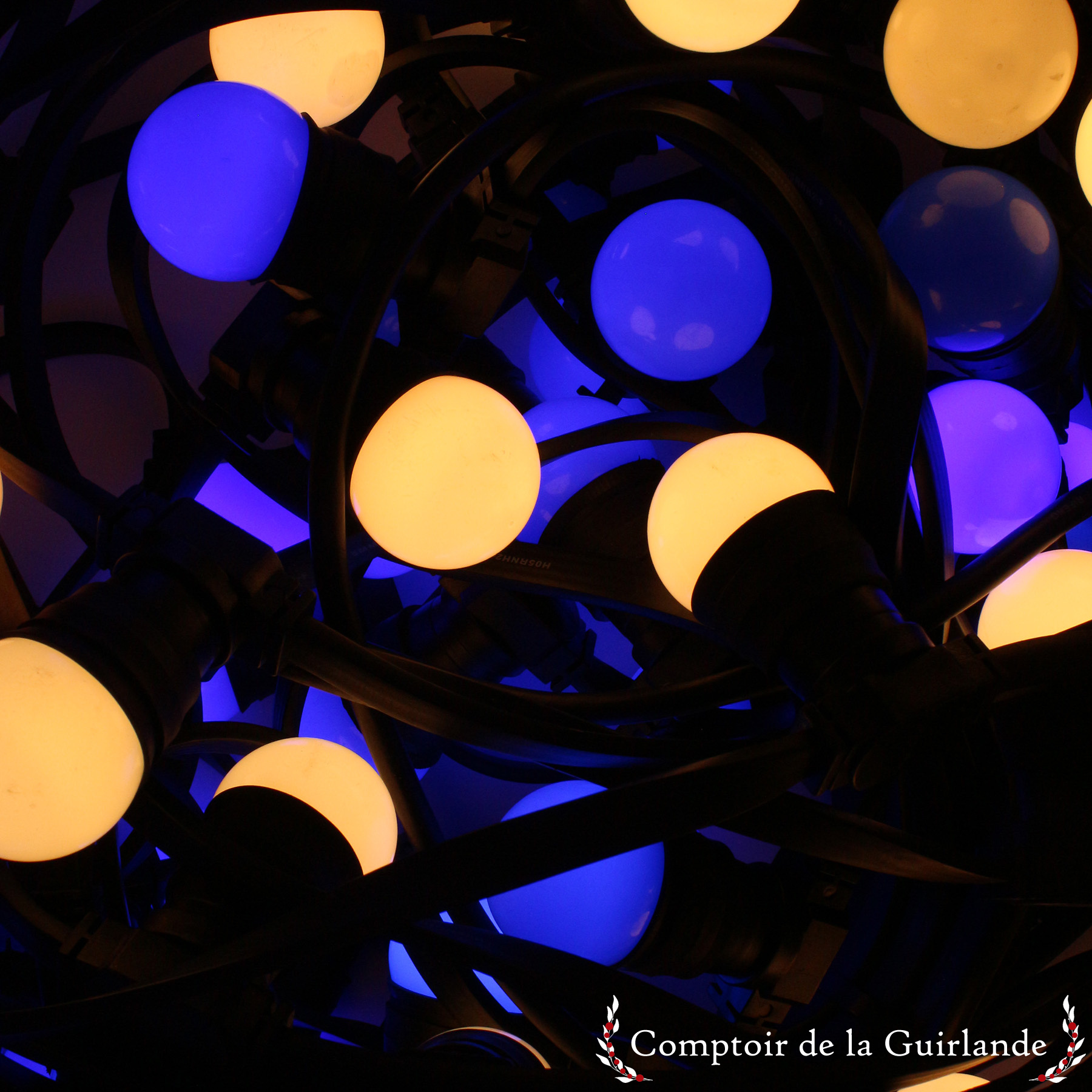 blancchaud bleu cdg 1