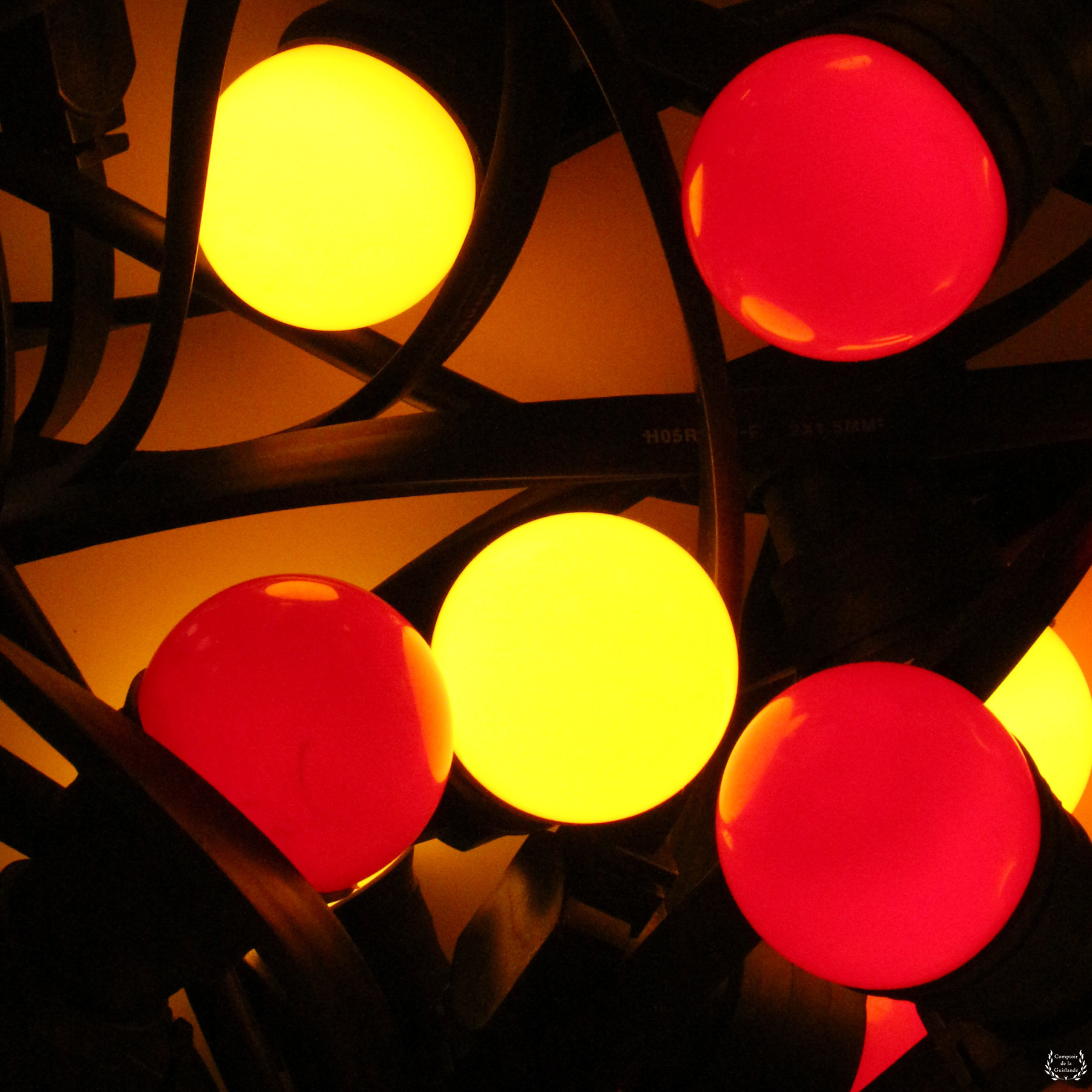 jaune rouge vanlight 2 1016698995