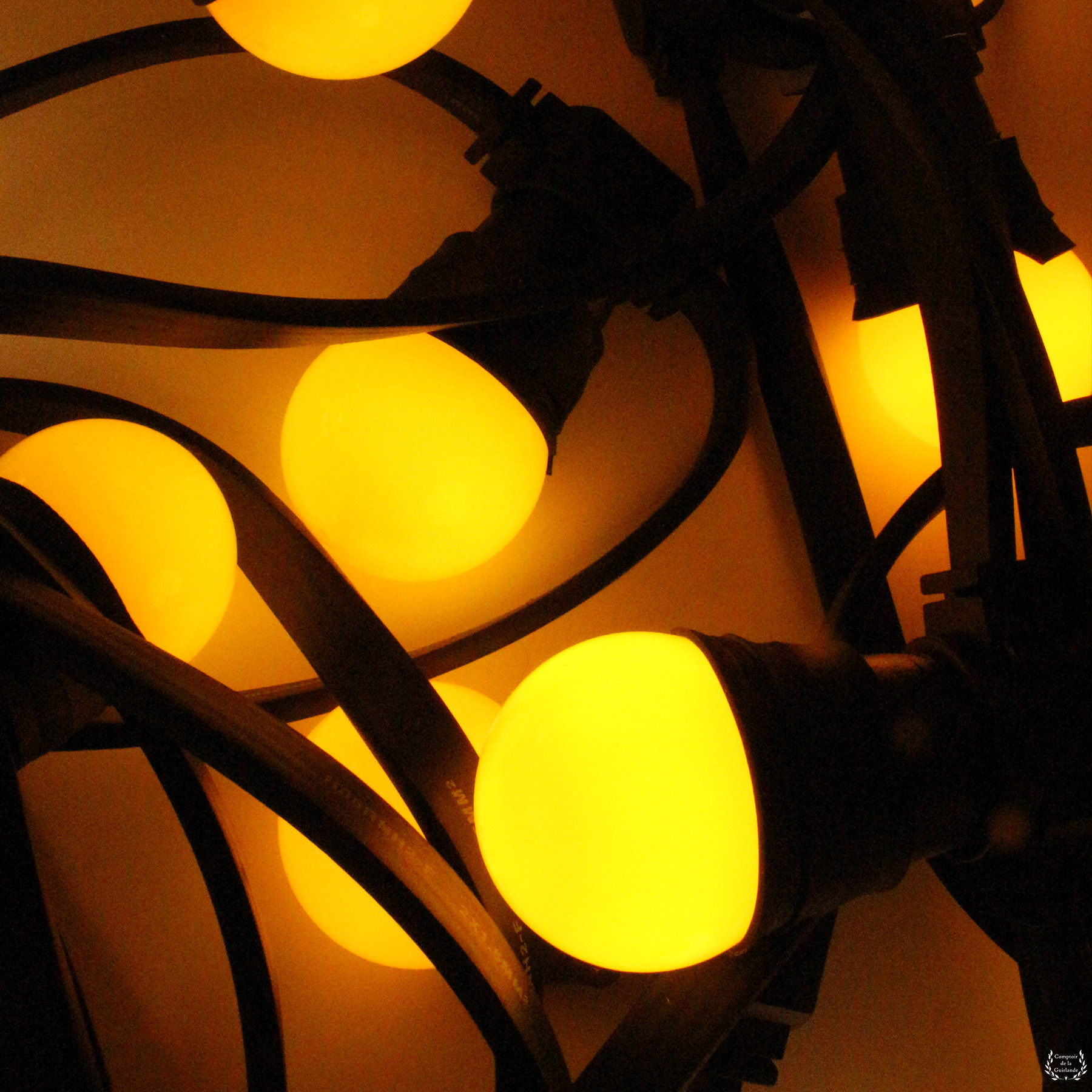 jaune vanlight 2 566973521