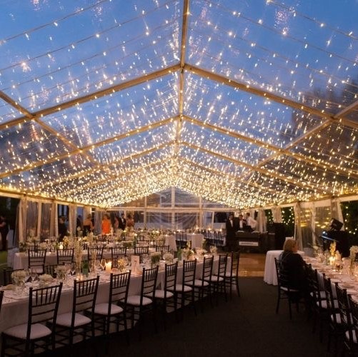 location guirlandes lumineuses fines cdg produits 6 carre 290555784