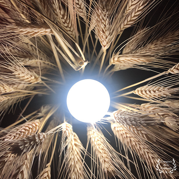 maguinguette blancfroid 2