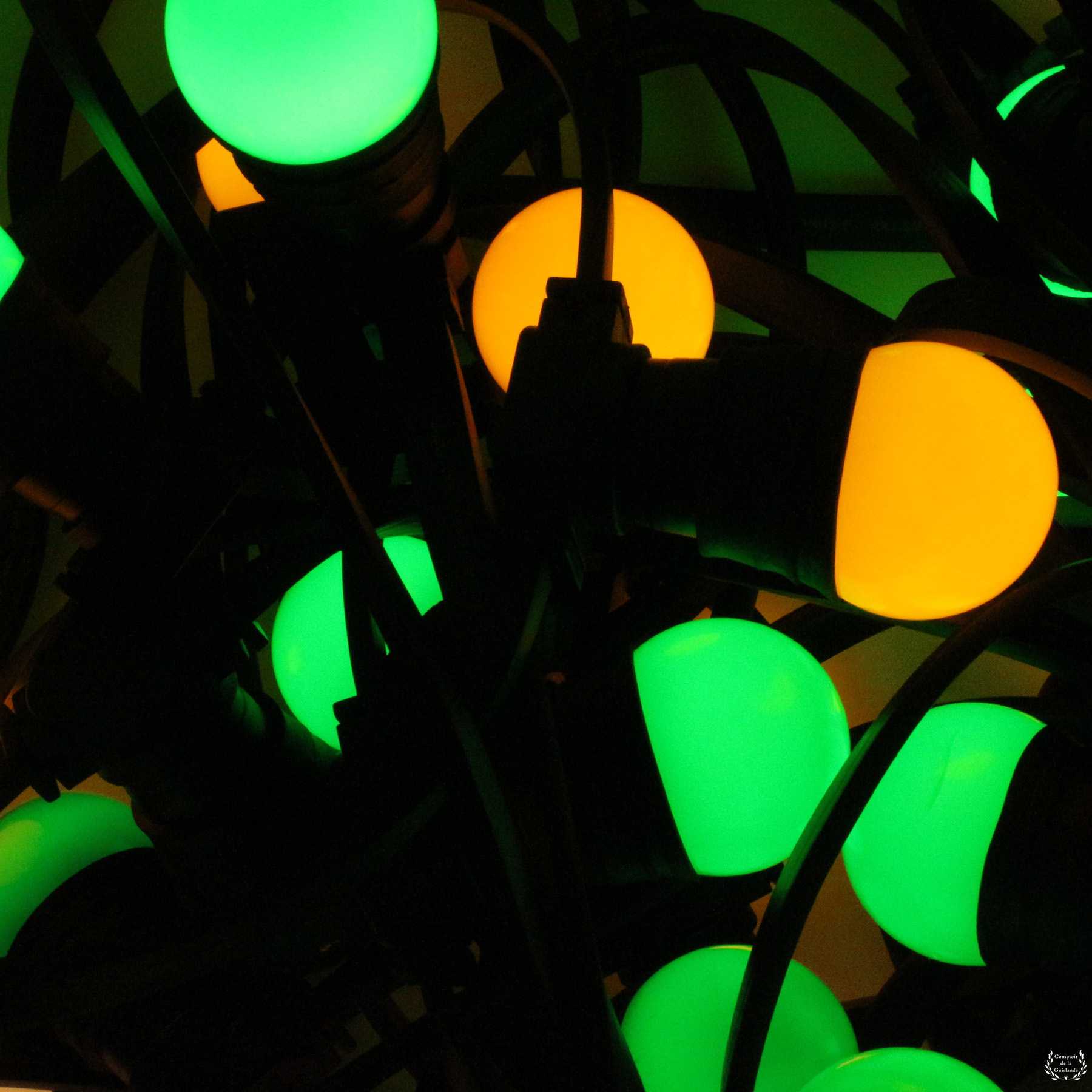 vert jaune vanlight 2