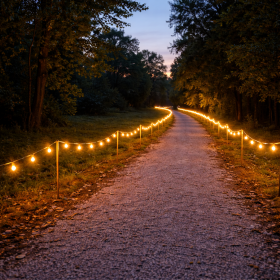 bdb2a739-c49c-4a99-87f1-d8e4fa5c12eb_855329594