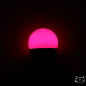 img rose icon icon cdg